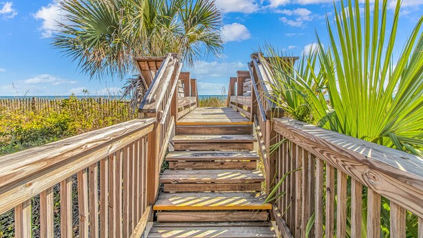 Een houten looppad leidt naar een strand, omringd door palmbomen en kustvegetatie.