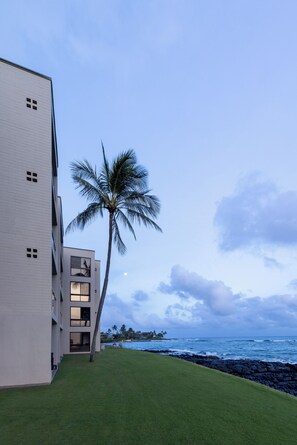 Exterior - Spectacular Floor-To-Ceiling Ocean View, Ground Floor For Direct Ocean Access!!! (Poipu)