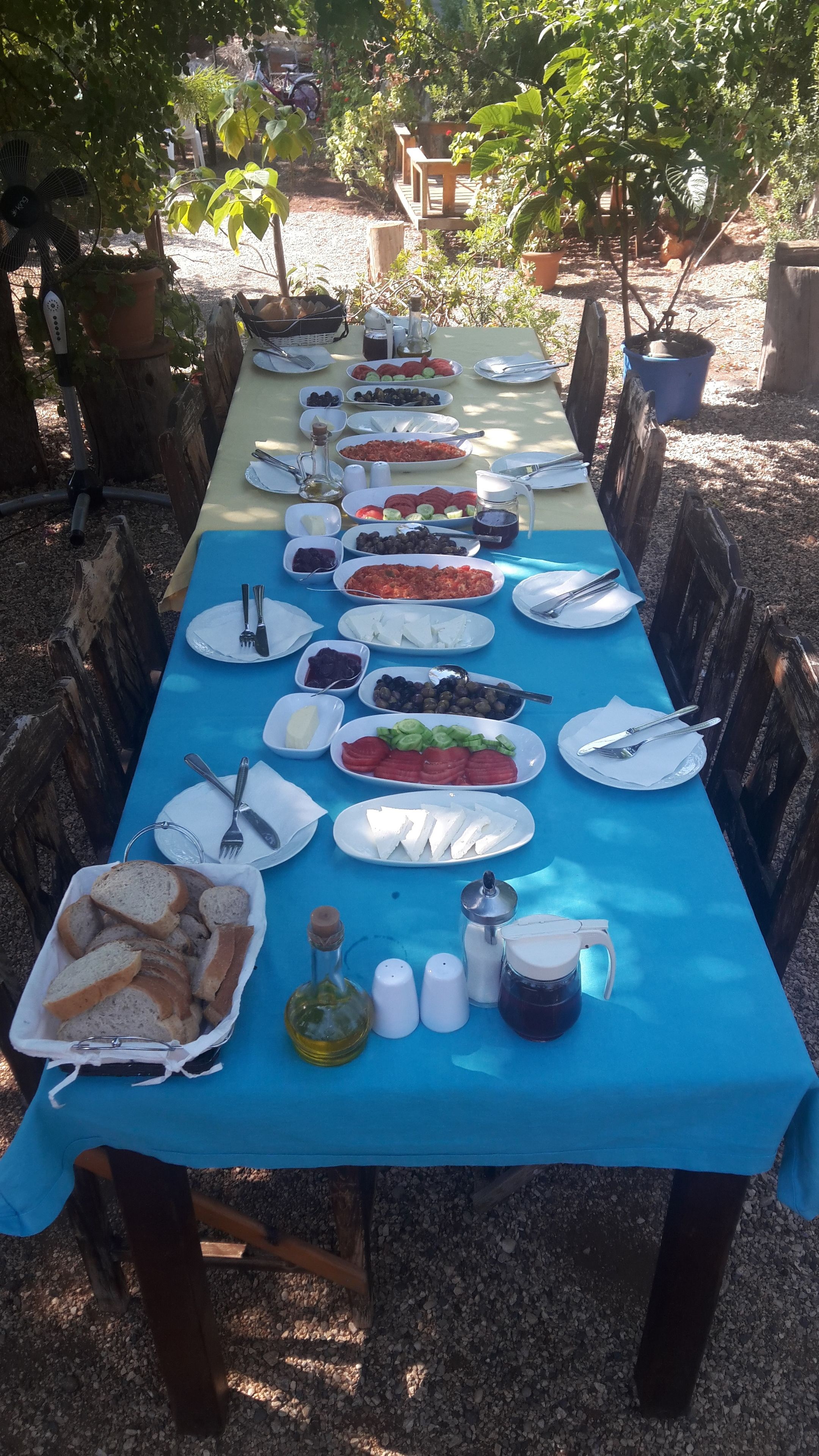 حديقة