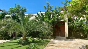 A well-maintained garden with a paved walkway leading to a building entrance.