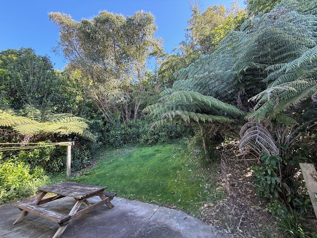 A garden with a wooden bench, lush greenery, and a variety of trees including ferns.