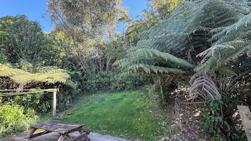 A garden with a wooden bench, lush greenery, and a variety of trees including ferns.