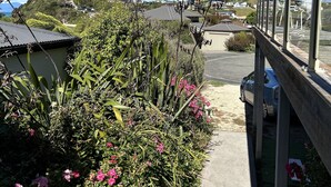 Un chemin menant à un quartier résidentiel, avec des maisons, une voiture garée et un ciel bleu dégagé.