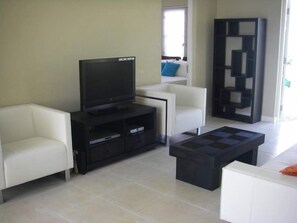 Televisión, reproductor de DVD, libros, monitor de computadora