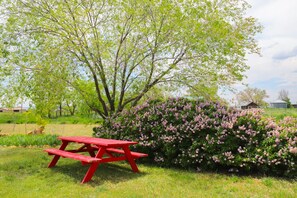 Outdoor dining - Perfect Country Getaway Near Durango, Mountains, Lakes, Mesa Verde, Skiing (Hesperus)