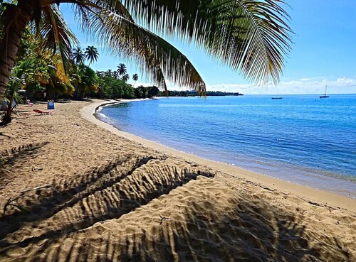  5 STAR BeachSide/Communal Pool/Private Spa/Terrace
NO CLEAN FEE Betwn Aug1-Nov1