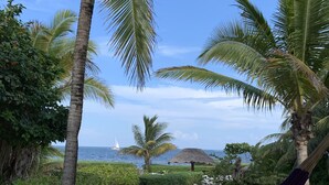 A beach view with palm trees, lounge chairs, and a hammock.