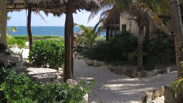 A beachside pathway leading to a thatched-roof hut, surrounded by palm trees and rocks.