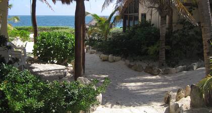 Beachfront hidden gem in paradise!