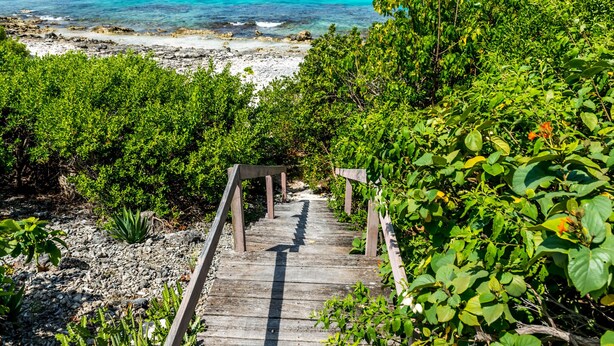 A wooden pathway leading to a beach with clear blue waters and lush greenery.