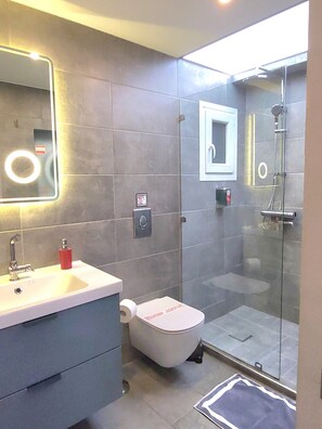 Shower, jetted tub, hair dryer, bathrobes