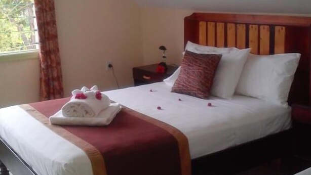 A hotel room with a bed, a nightstand, and a window with curtains. - Malau Lodge (Nuku'alofa)