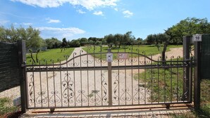 Uma entrada com portão para um vinhedo, céu claro e árvores ao fundo.