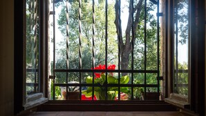 A window with a metal railing, potted plants, and a view of trees outside. - country holiday home - Serrungarina (Serrungarina)
