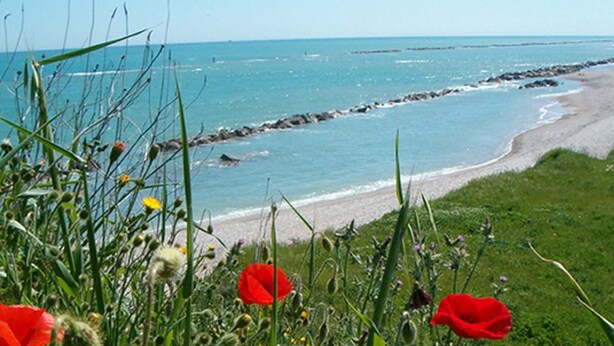 A coastal landscape with a sandy beach, rocky shoreline, and green vegetation. - country holiday home - Serrungarina (Serrungarina)