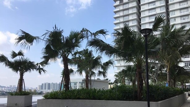 A rooftop garden with palm trees, exercise equipment, and a view of a high-rise building. - M3 Residences (Batu Caves)