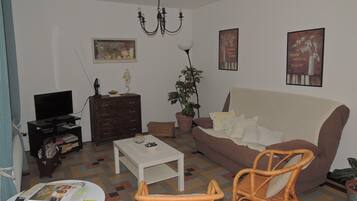 電視、DVD 播放機、書籍