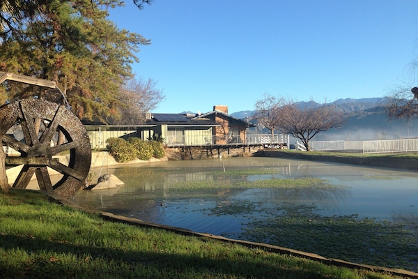 The pond and water wheel