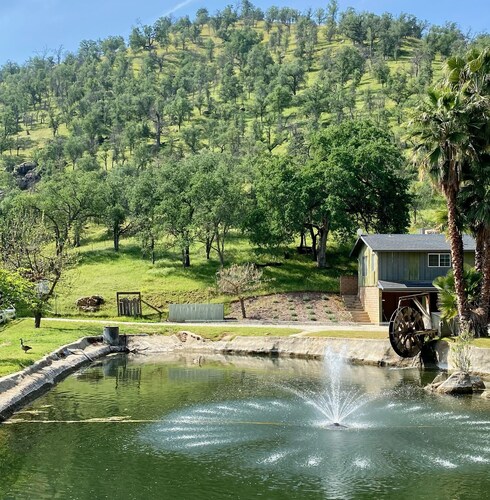 12 acre Ranch with Pickle Ball with lights, Pool, Jacuzzi views and Cows 