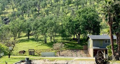 12 acre Ranch with Pickle Ball with lights, Pool, Jacuzzi views and Cows