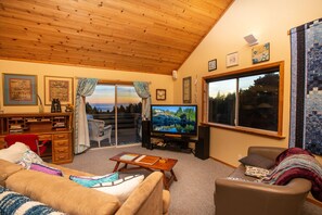 TV, fireplace, video library