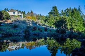 المنطقة المحيطة بالمنشأة