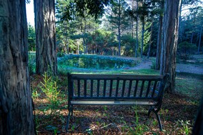 المنطقة المحيطة بالمنشأة