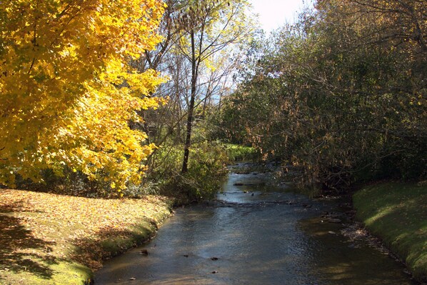 Ein Fluss fließt durch einen Wald mit Herbstlaub.