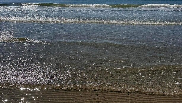 Una playa con agua cristalina y una orilla arenosa.
