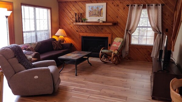 TV, fireplace, books