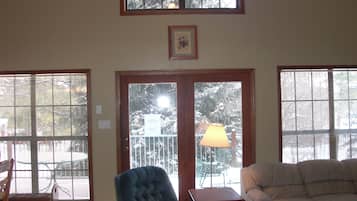 Televisión, chimenea y libros