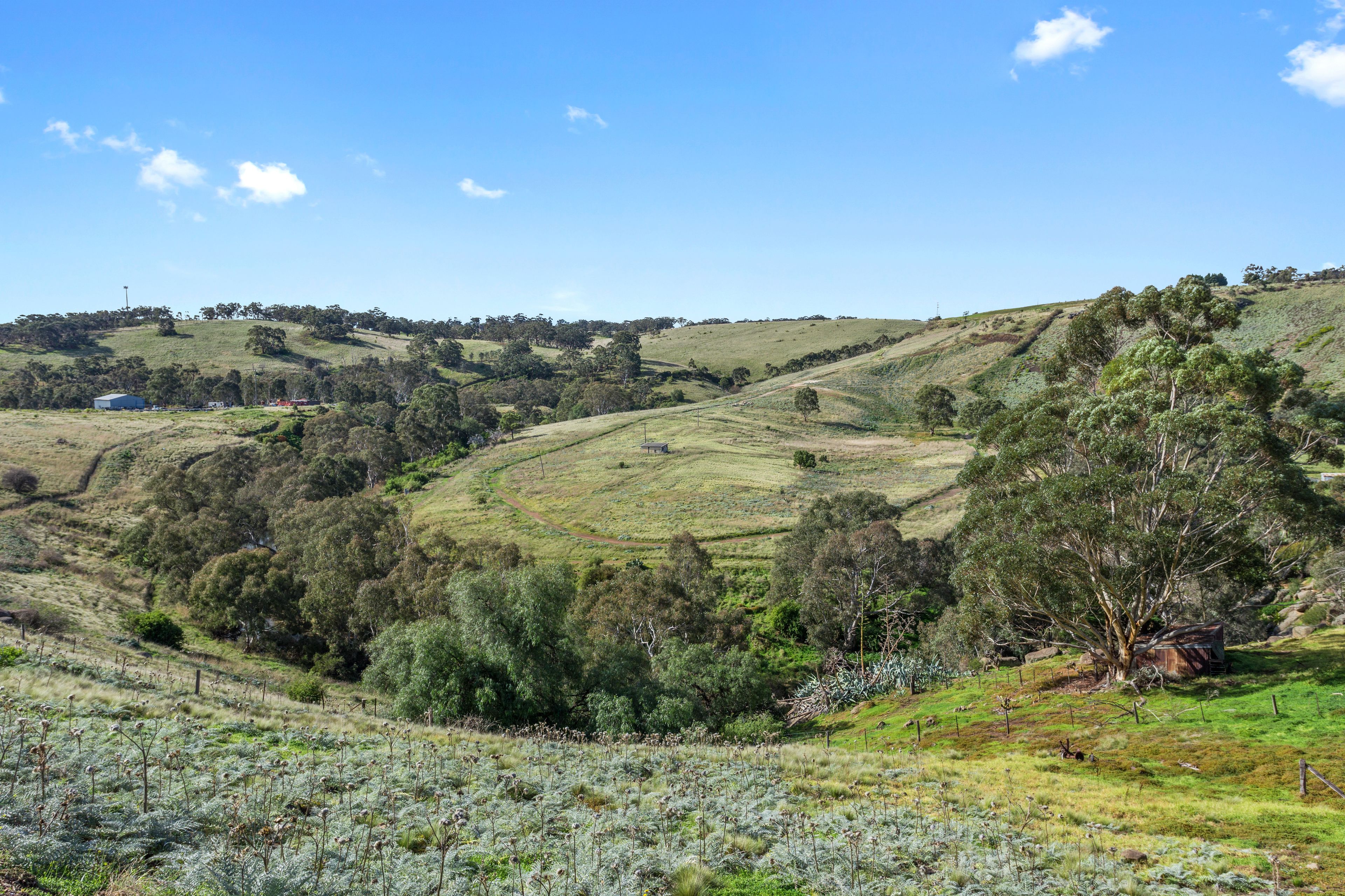 Bulla Hill Villas- Melbourne Airport — image 17