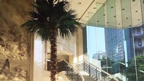 A modern interior with a curved staircase, a palm tree, and a glass wall offering a view of the cityscape. - Dolton International Hotel Changsha (Changsha)