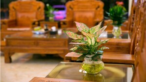 A room with wooden furniture, including sofas and a coffee table. - Yuehang Hotel (Zhuhai)