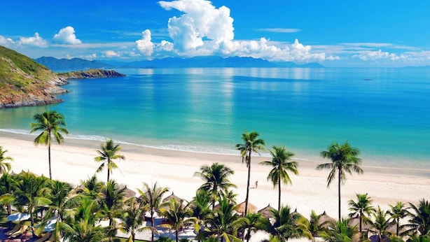 A beach with palm trees and a clear sky. - Oressund Hotel (Nha Trang)