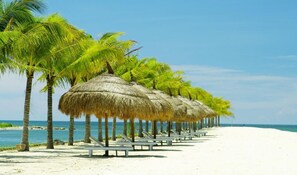 Una playa cerca