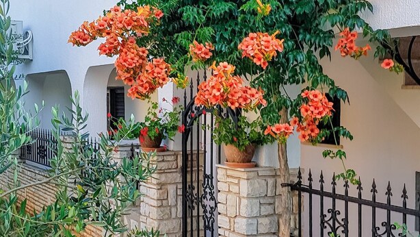 A stone wall with a metal gate, potted plants, and a staircase leading to a building entrance. - Lovely apartment for 6 guests with A/C, WIFI, TV, terrace and pets allowed (Peroj)
