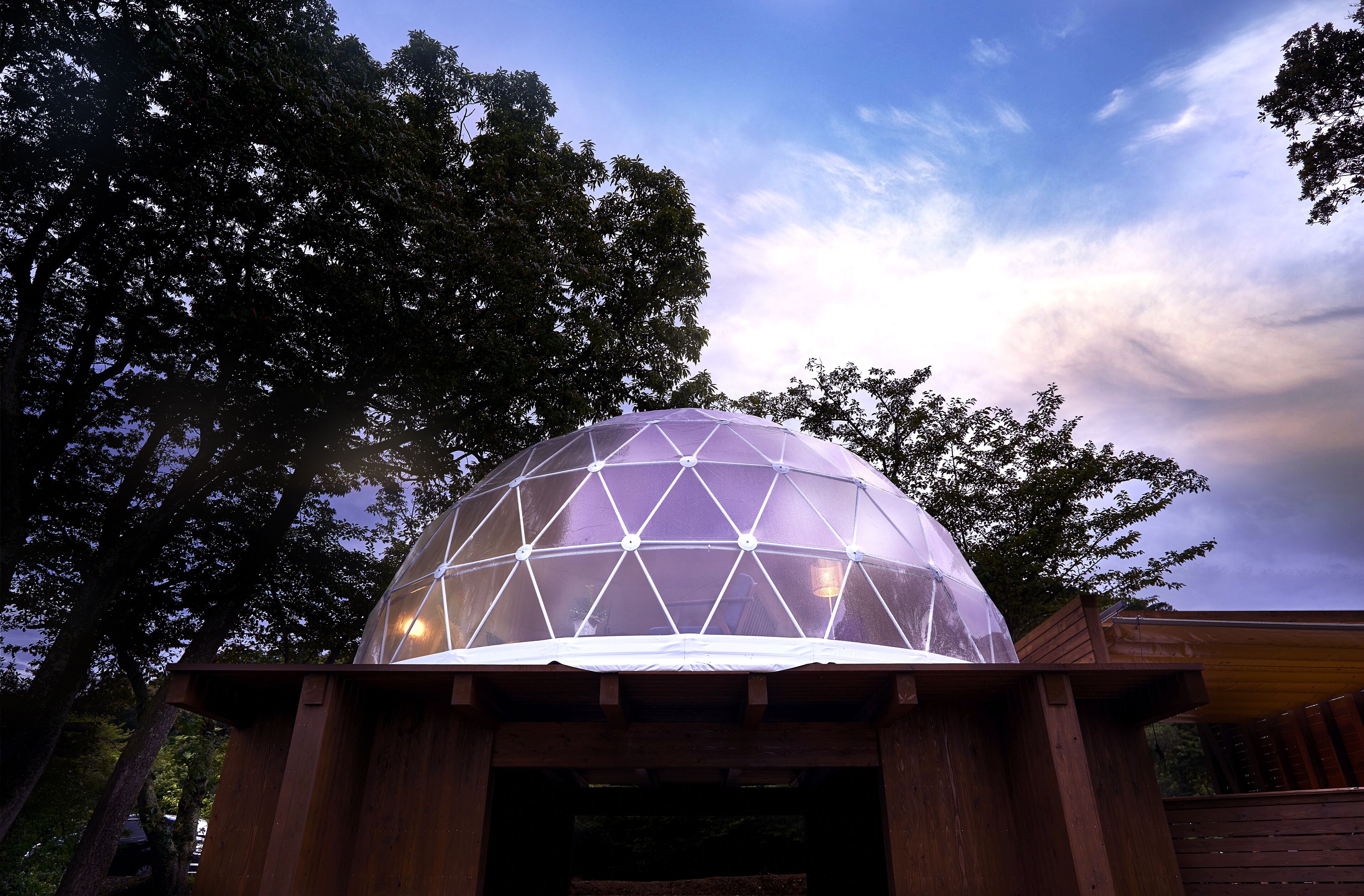 A geodesic dome structure with a wooden base, surrounded by trees.