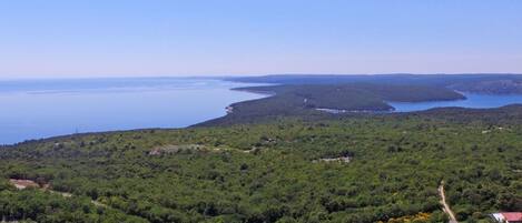 A coastal landscape with dense greenery, a clear sky, and a body of water.
