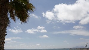 A beach with a palm tree, clear sky, and calm sea. - Cosy apartment for 6 guests with WIFI, A/C, TV, terrace and pets allowed (L'ampolla)