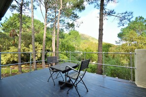 Tina's Cottage | View from room - Houtkapperspoort Country Cottages (Cape Town)