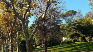 A park with a pathway, trees, and a well-maintained lawn.