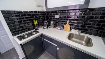 Classic apartment, 1 bedroom | Private kitchen | Fridge, microwave, oven, stovetop