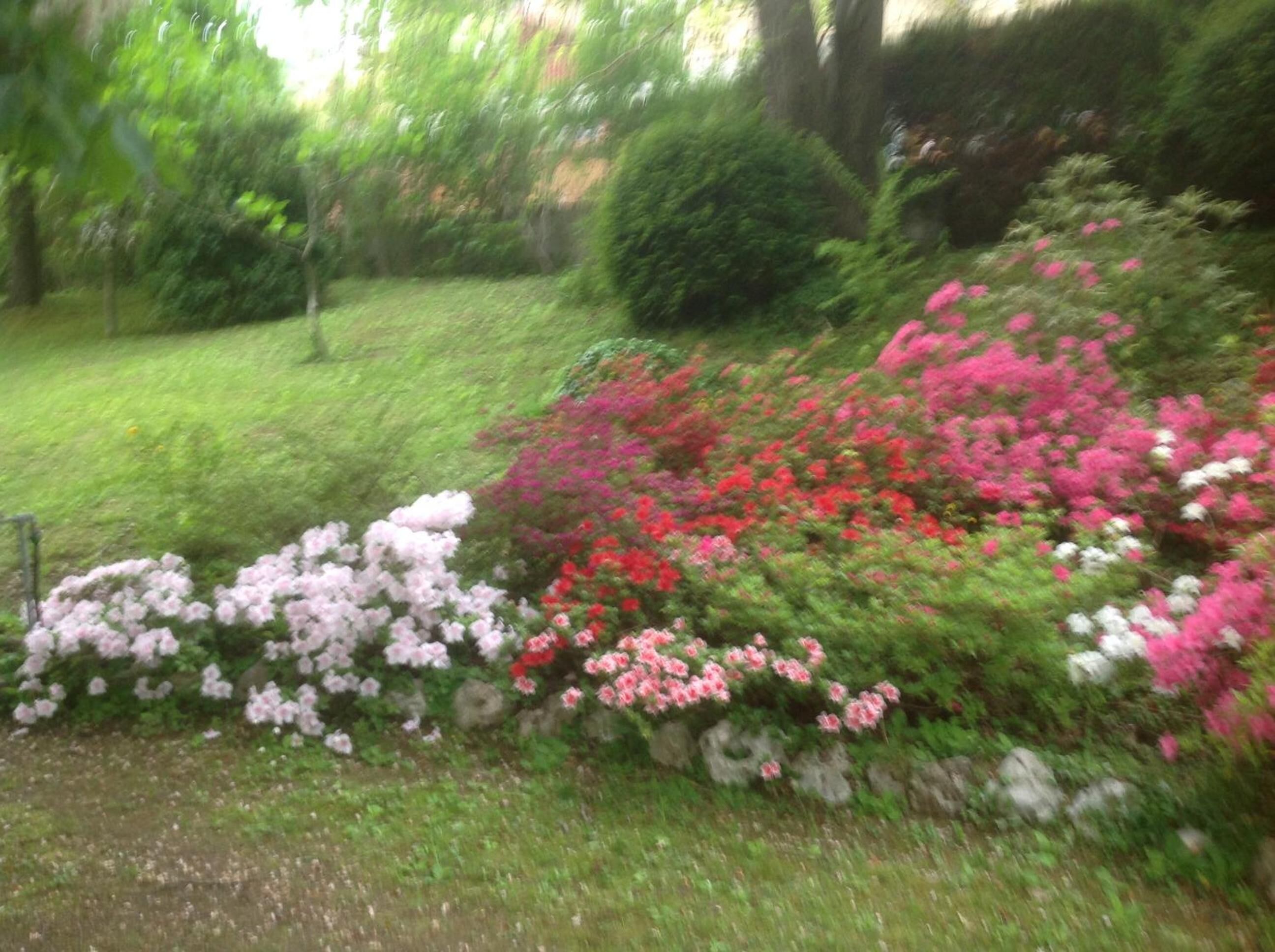 Ein Garten mit verschiedenen blühenden Pflanzen und einer Steinmauer.