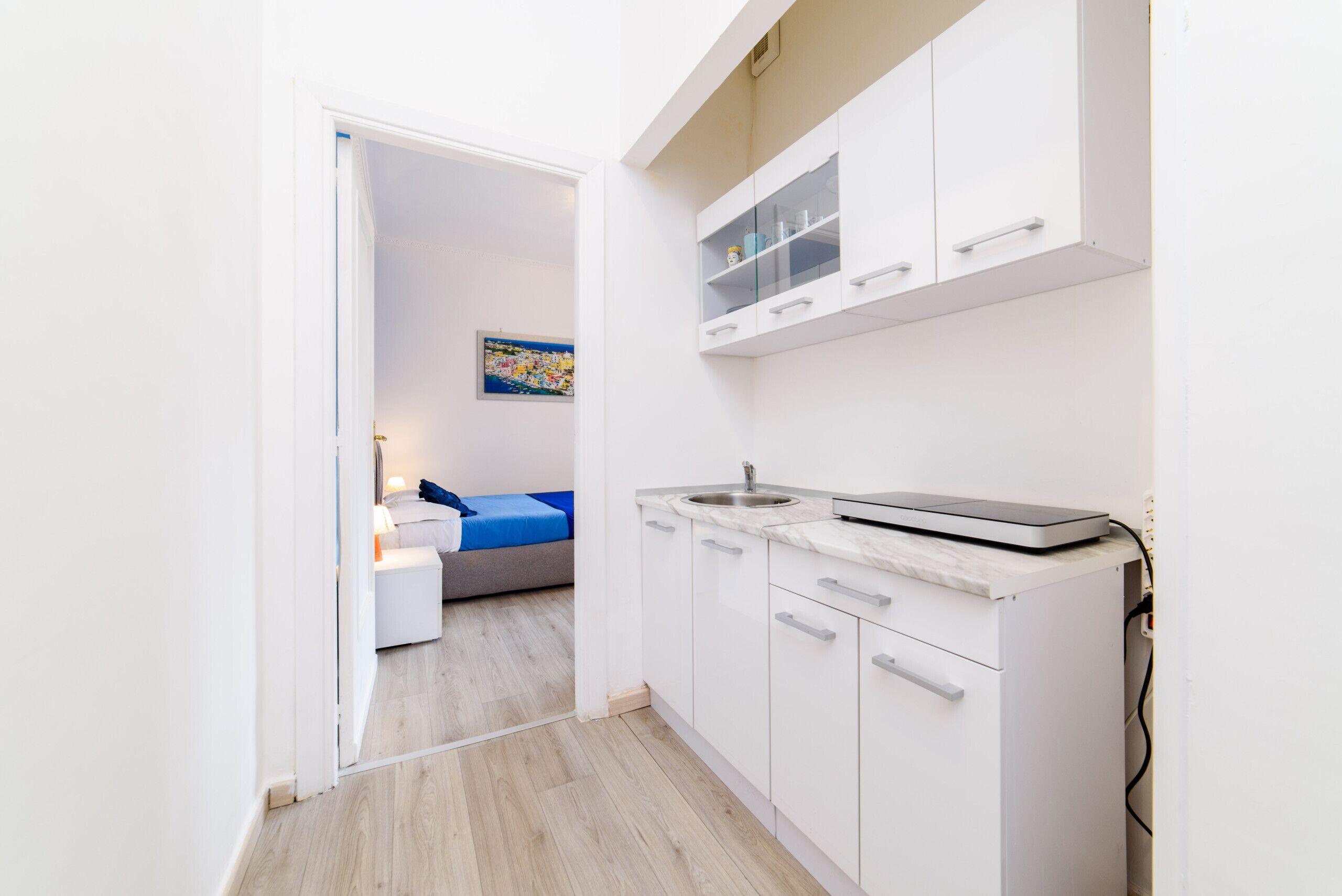 Großer Kühlschrank, Mikrowelle, Herdplatte