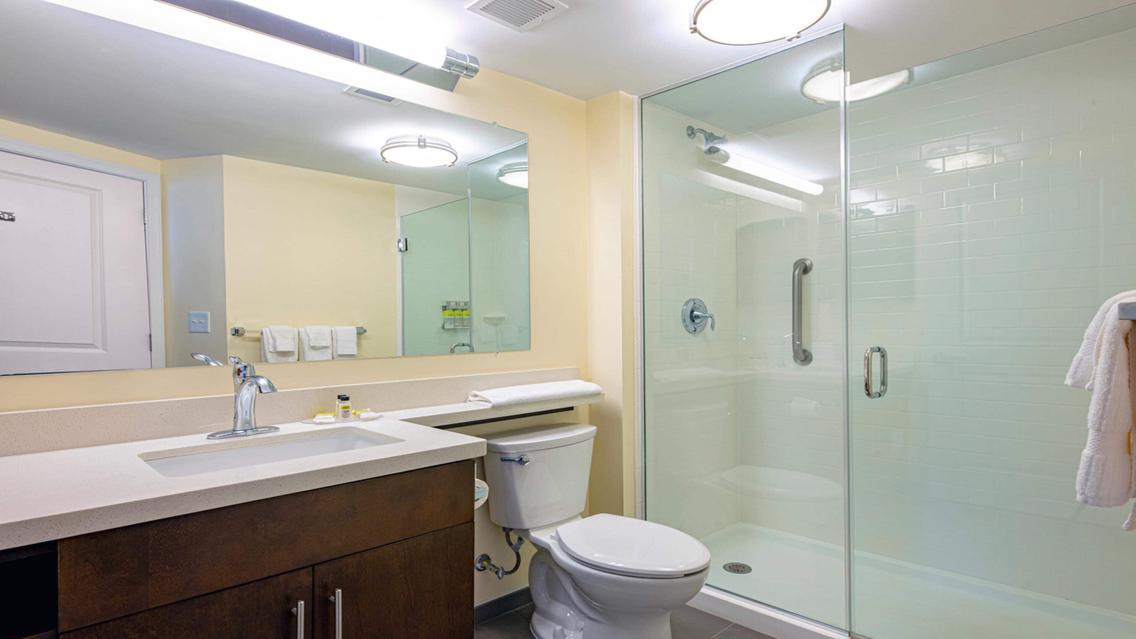 A modern bathroom with a glass shower enclosure, a white toilet, and a vanity with a mirror.