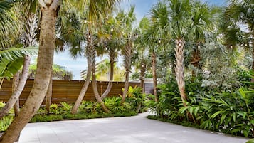 A paved pathway flanked by palm trees and lush greenery, leading to a wooden fence.