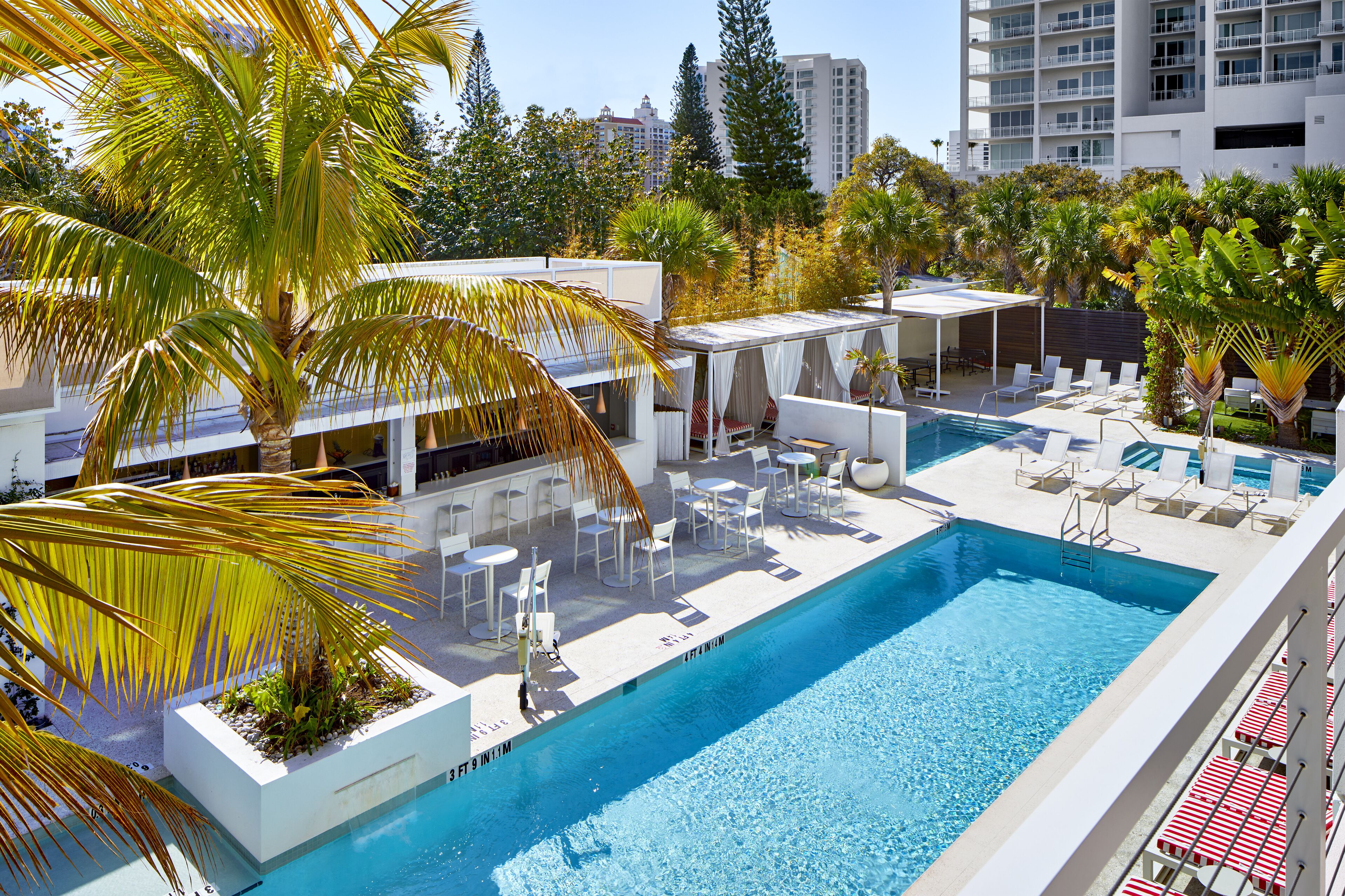 Une piscine sur le toit, agrémentée de chaises longues et de parasols, entourée de palmiers et de bâtiments modernes.