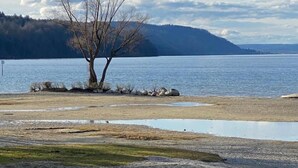 Un paysage au bord d’un lac, avec un seul arbre sans feuilles, une eau calme et une chaîne de montagnes à l’horizon.