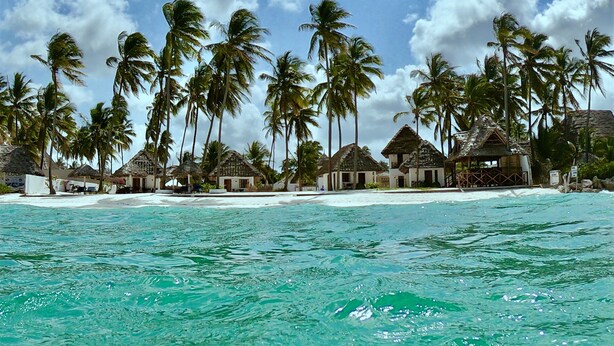 A beach resort with thatched-roof huts and palm trees. - Savera Beach Houses (Jambiani)